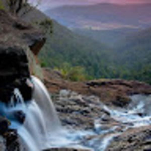 Meet your Posher, Rose